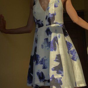 White and Blue Floral Dress